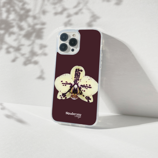 Orchidée Fond Mauve