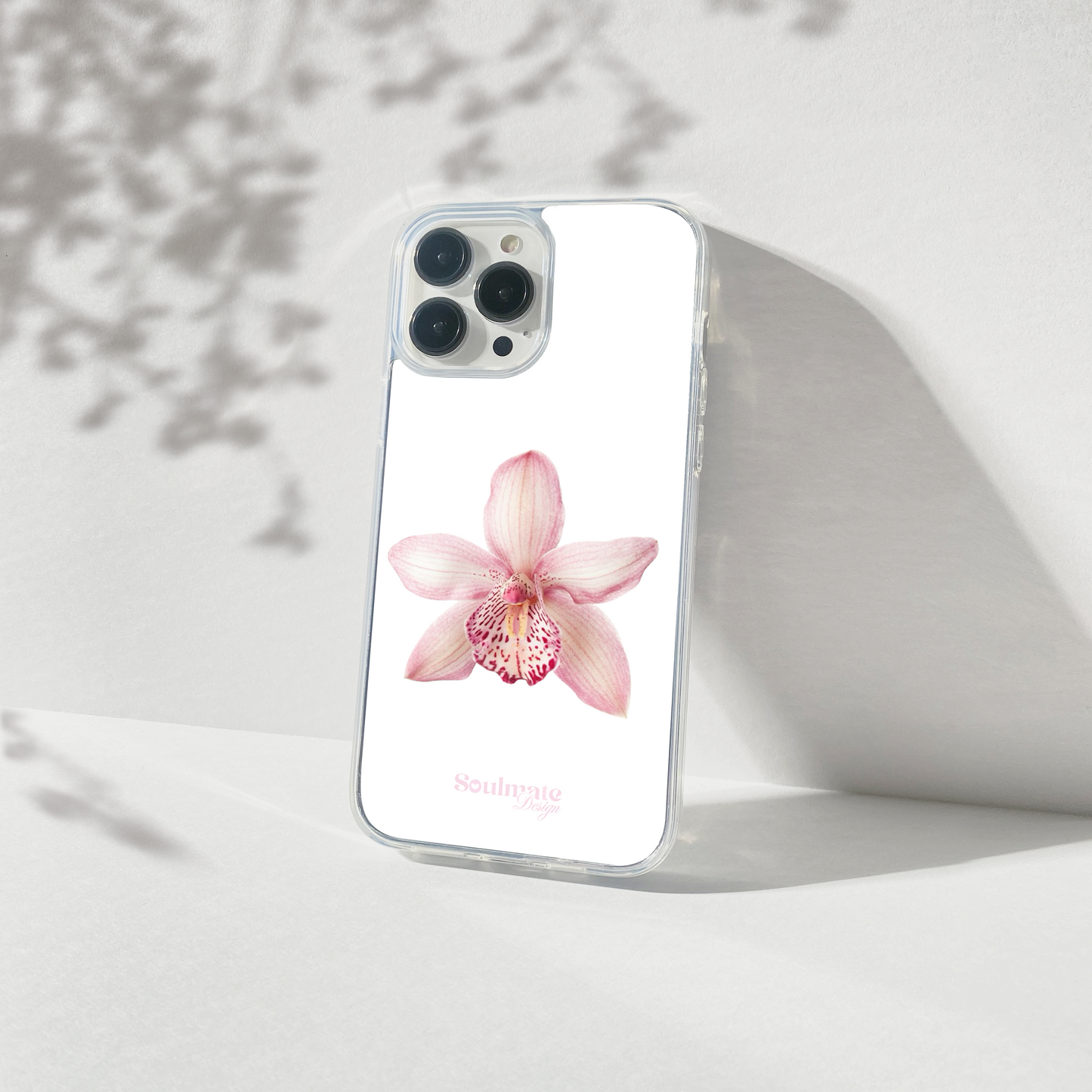 Orchidée Fond Blanc