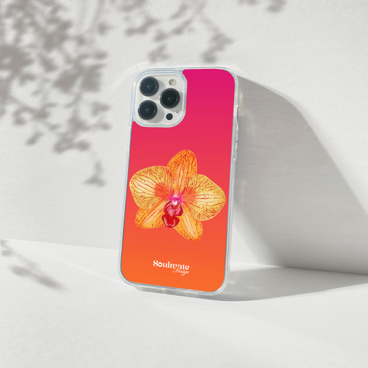 Orchidée Fond Dégradé