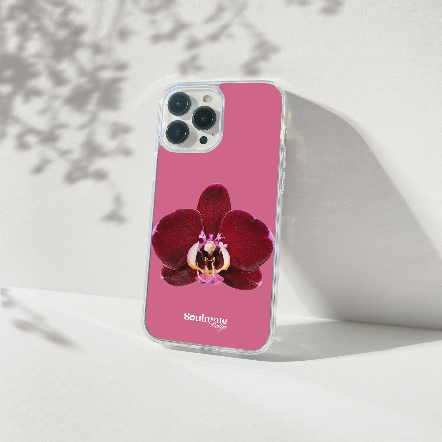 Orchidée Fond Fuchsia