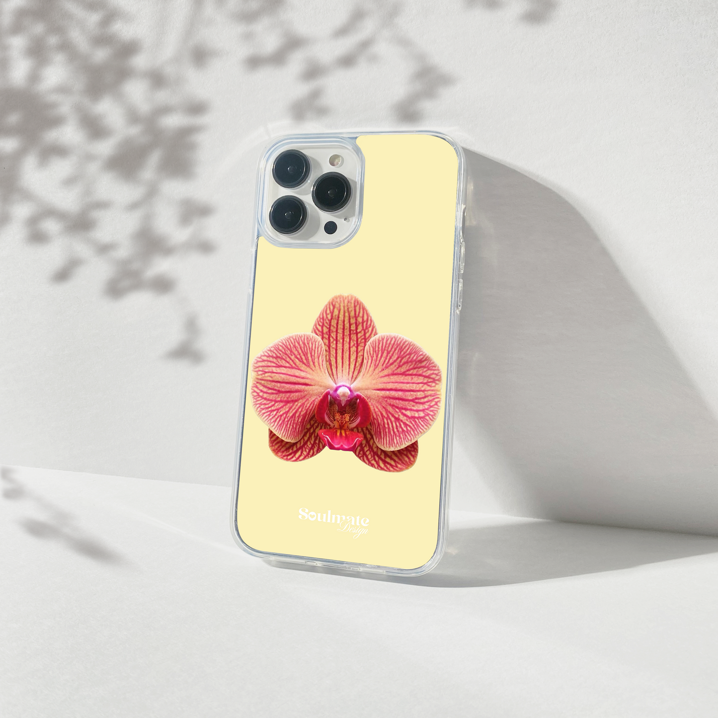 Orchidée Fond Jaune