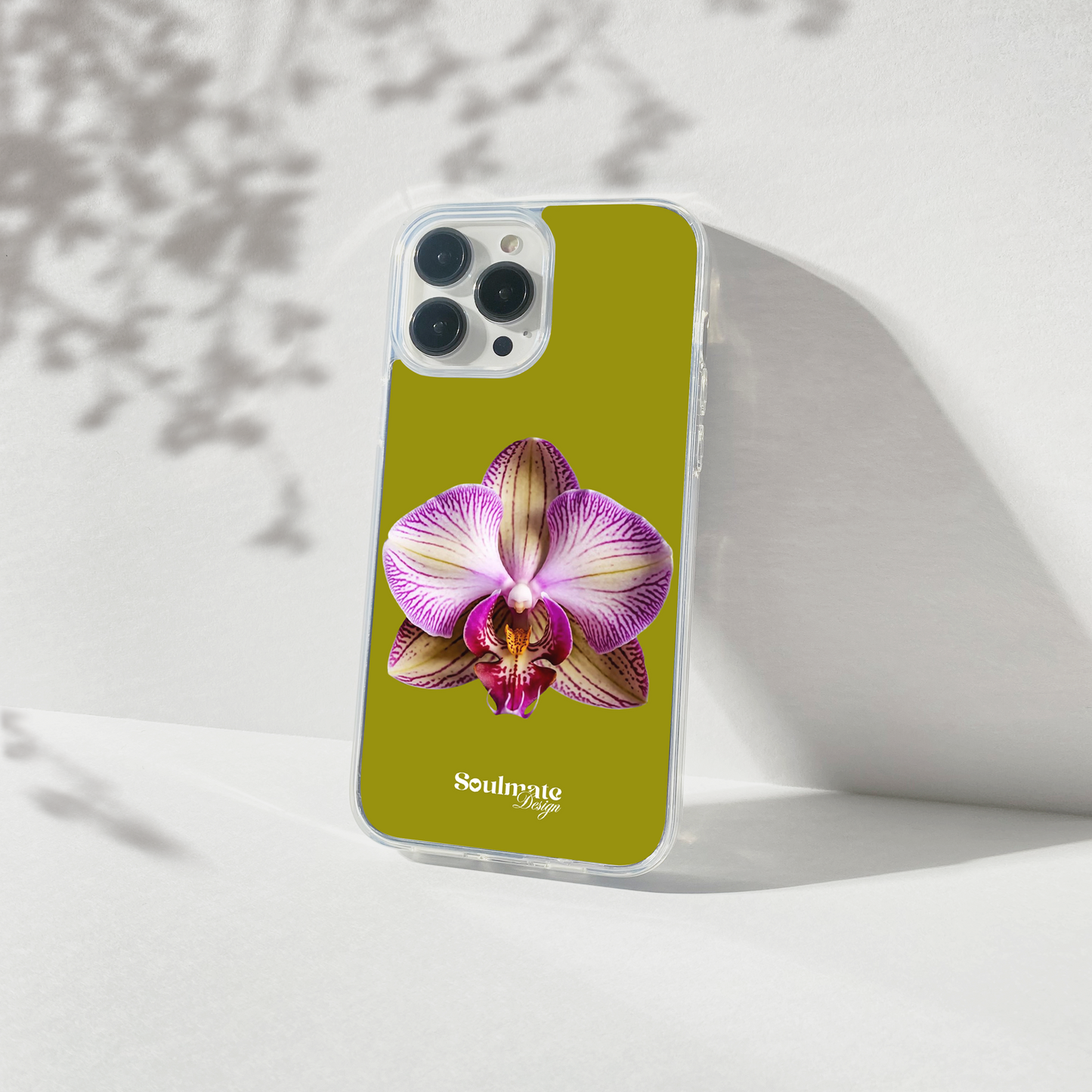 Orchidée Fond Vert Olive