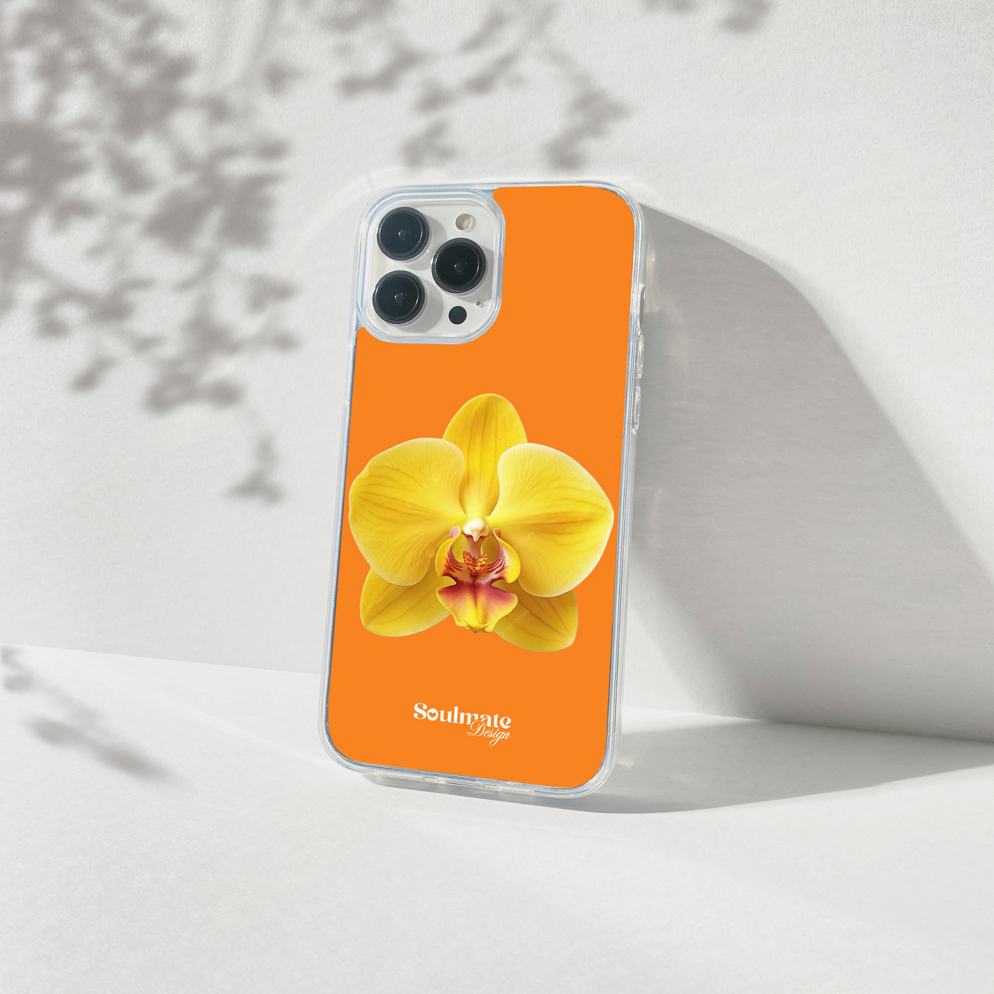 Orchidée Fond Orange